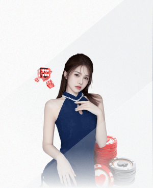 www.hth.com 新手适合什么篮球训练器材